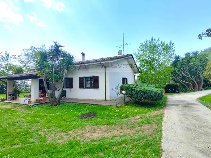 Immagine 4 di Villa in vendita  a Pietrasanta