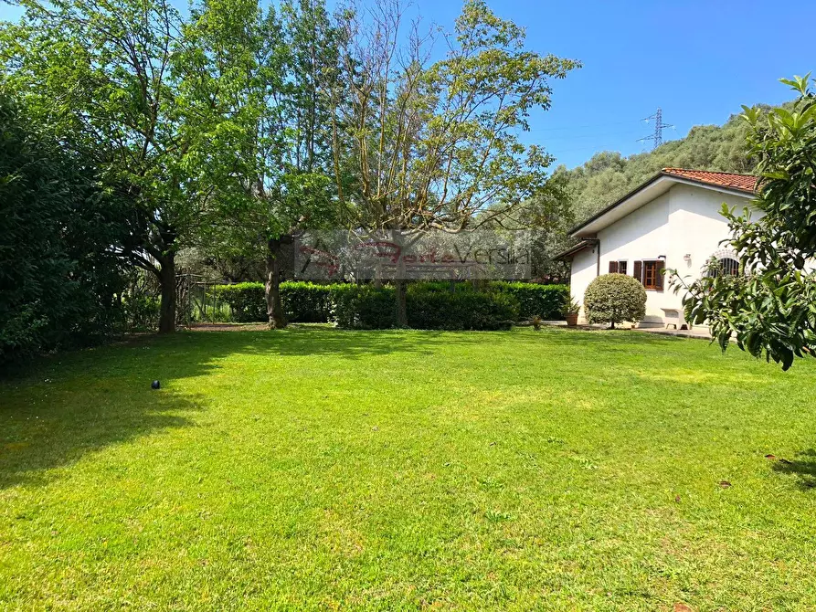 Immagine 3 di Villa in vendita  a Pietrasanta
