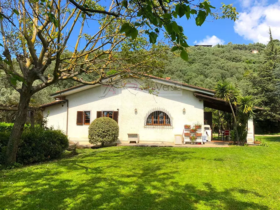 Immagine 2 di Villa in vendita  a Pietrasanta