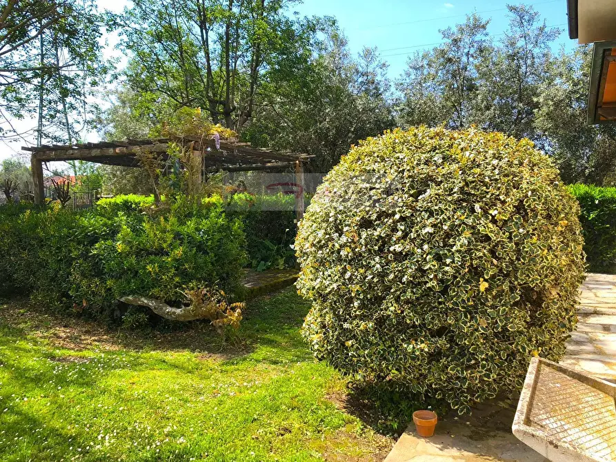 Immagine 8 di Villa in vendita  a Pietrasanta