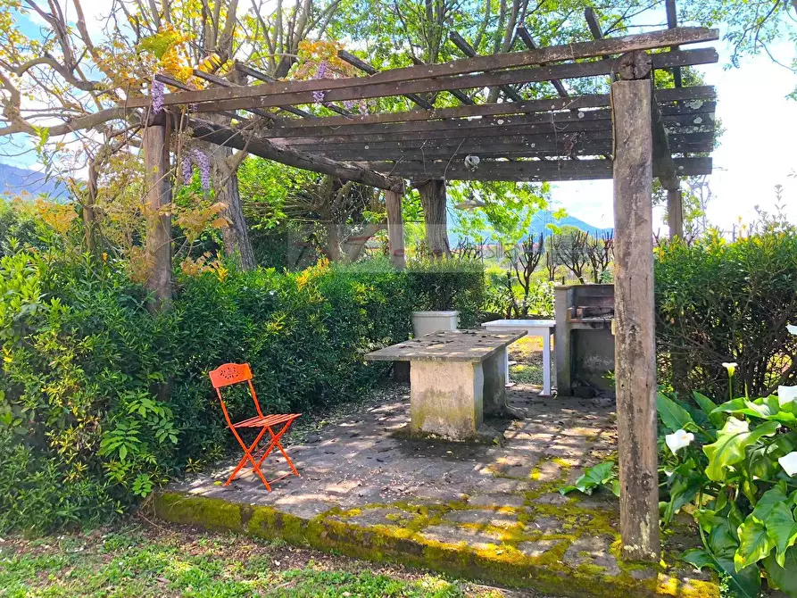 Immagine 9 di Villa in vendita  a Pietrasanta