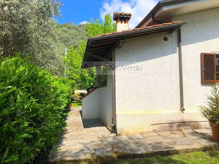 Immagine 10 di Villa in vendita  a Pietrasanta