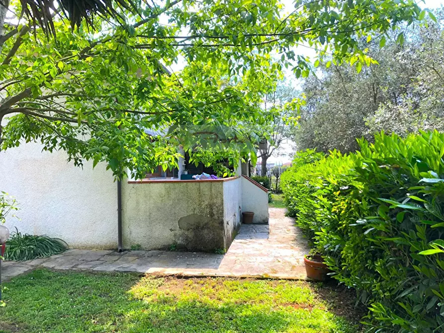 Immagine 11 di Villa in vendita  a Pietrasanta