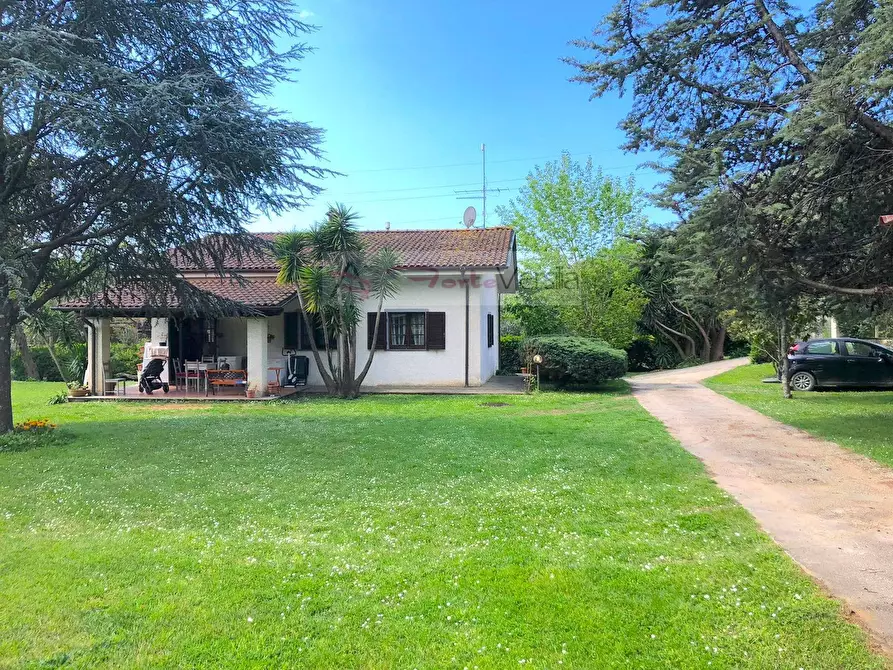 Immagine 5 di Villa in vendita  a Pietrasanta