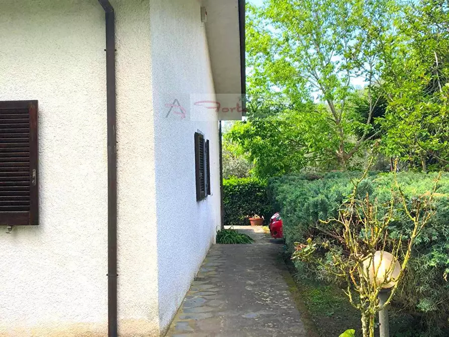 Immagine 13 di Villa in vendita  a Pietrasanta