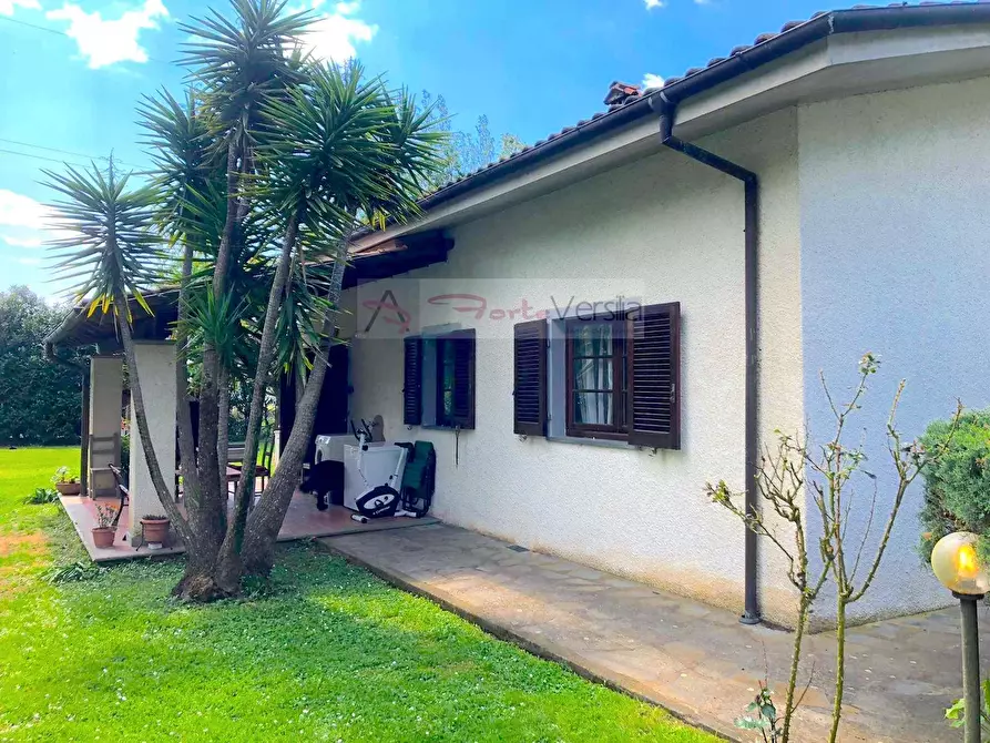 Immagine 14 di Villa in vendita  a Pietrasanta