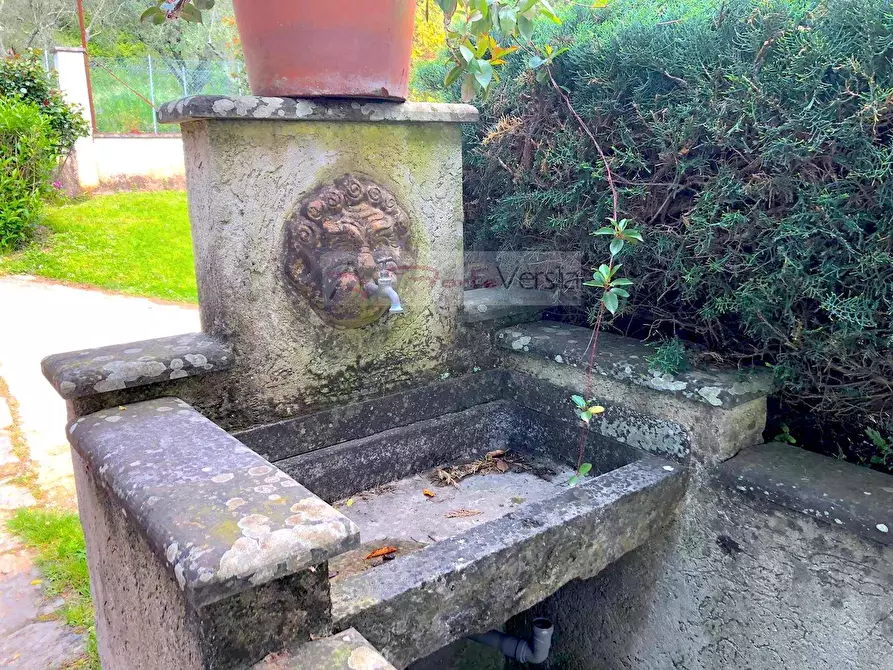 Immagine 15 di Villa in vendita  a Pietrasanta