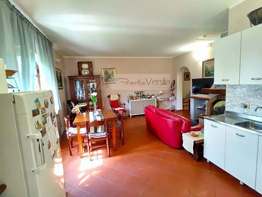 Immagine 19 di Villa in vendita  a Pietrasanta