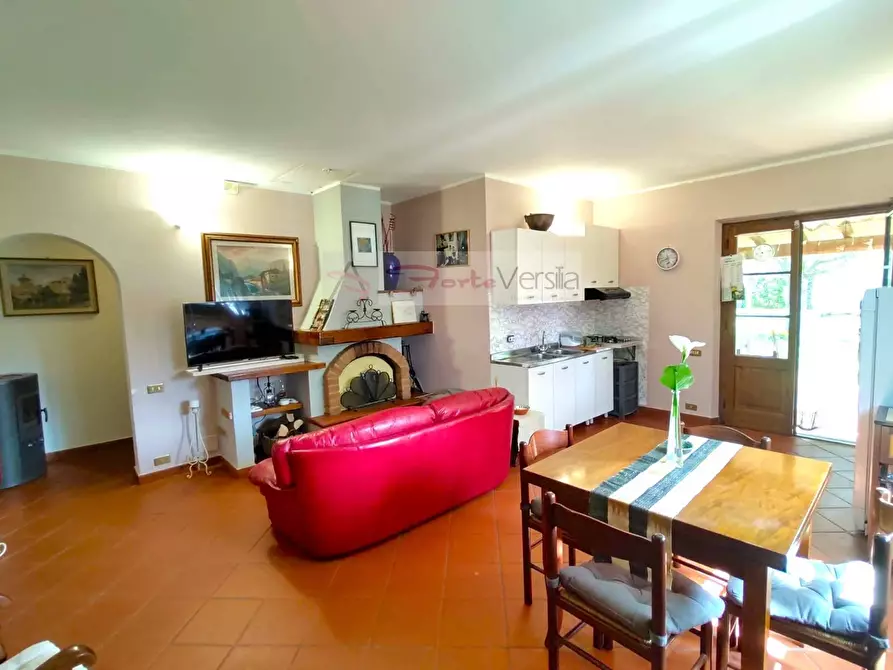 Immagine 20 di Villa in vendita  a Pietrasanta