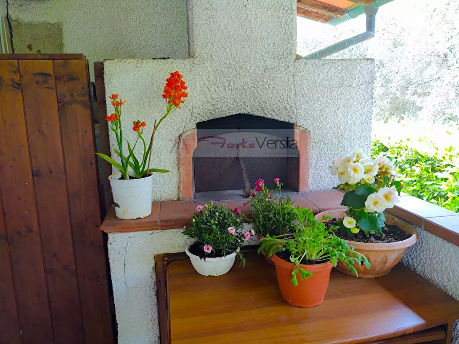Immagine 33 di Villa in vendita  a Pietrasanta