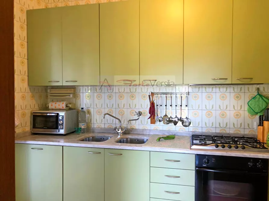 Immagine 4 di Villa in vendita  a Forte Dei Marmi