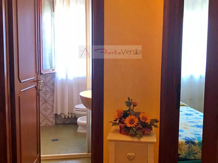 Immagine 15 di Villa in vendita  a Forte Dei Marmi