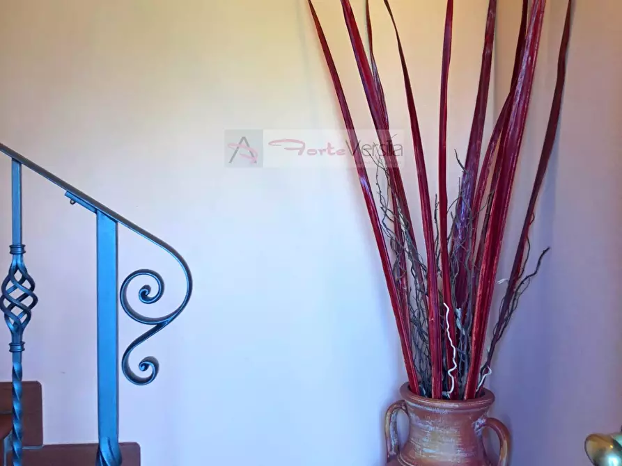 Immagine 35 di Villa in vendita  a Forte Dei Marmi