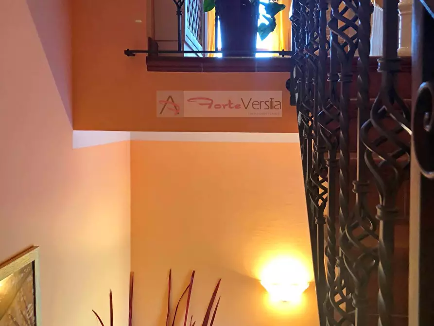 Immagine 37 di Villa in vendita  a Forte Dei Marmi