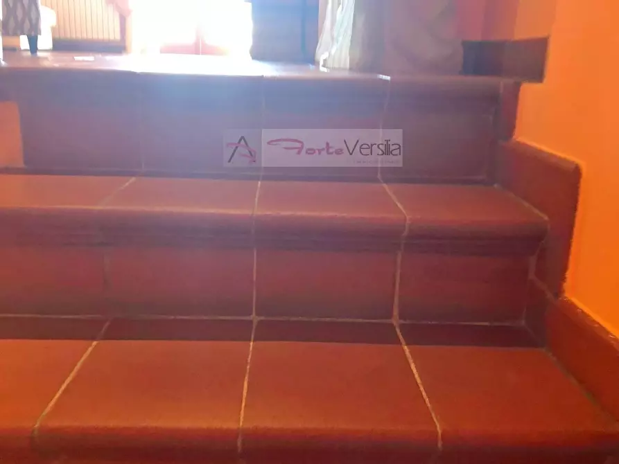 Immagine 38 di Villa in vendita  a Forte Dei Marmi