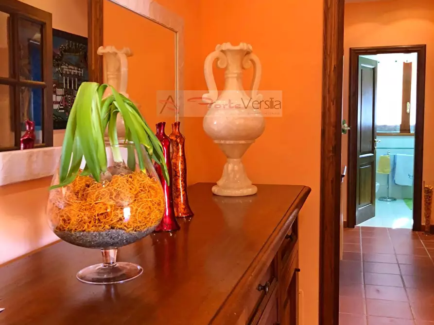 Immagine 50 di Villa in vendita  a Forte Dei Marmi