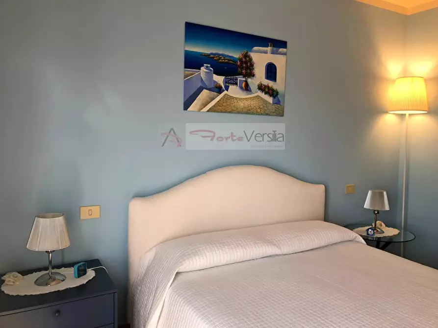 Immagine 60 di Villa in vendita  a Forte Dei Marmi