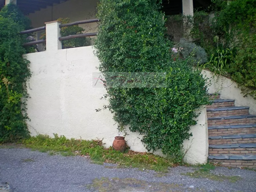 Immagine 21 di Rustico / casale in vendita  a Pietrasanta