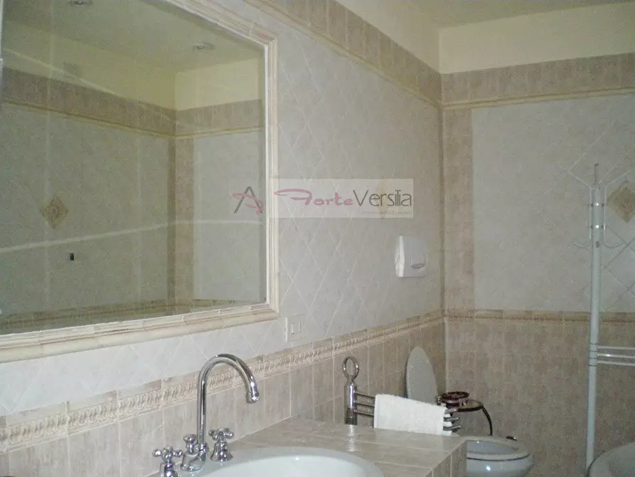 Immagine 23 di Rustico / casale in vendita  a Pietrasanta