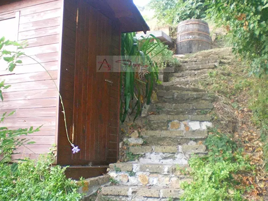 Immagine 37 di Rustico / casale in vendita  a Pietrasanta