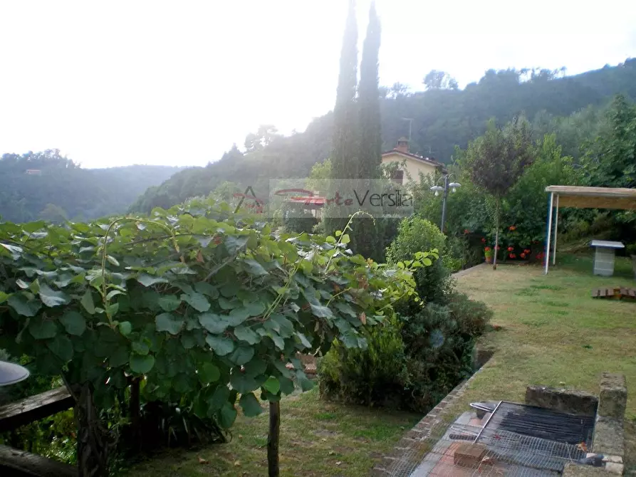 Immagine 39 di Rustico / casale in vendita  a Pietrasanta
