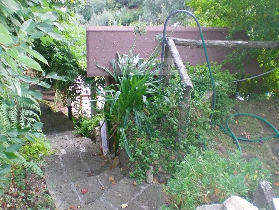 Immagine 40 di Rustico / casale in vendita  a Pietrasanta