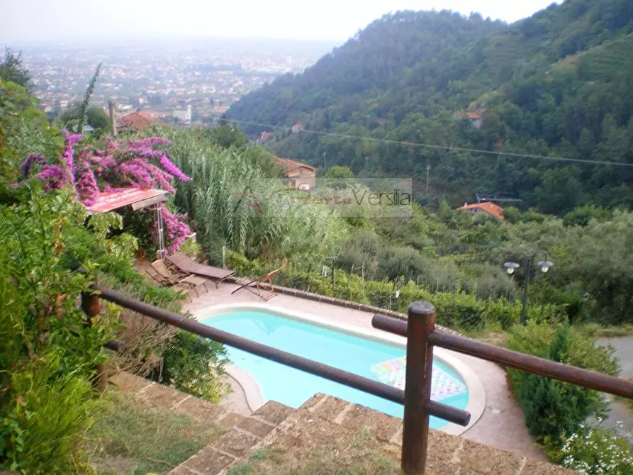 Immagine 42 di Rustico / casale in vendita  a Pietrasanta