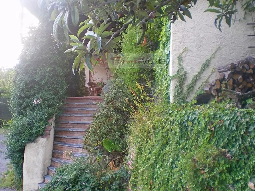 Immagine 45 di Rustico / casale in vendita  a Pietrasanta