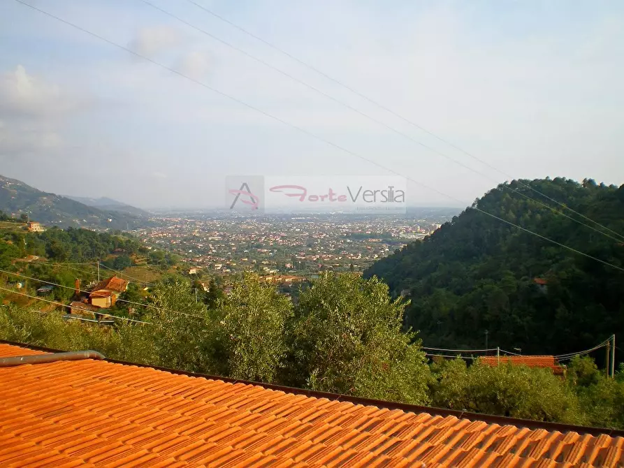 Immagine 49 di Rustico / casale in vendita  a Pietrasanta