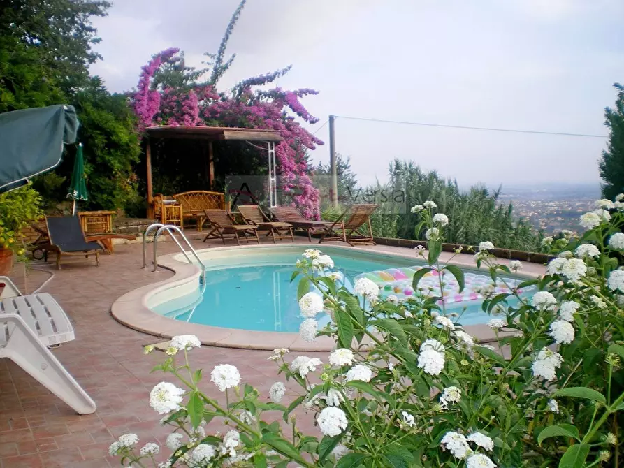 Immagine 50 di Rustico / casale in vendita  a Pietrasanta