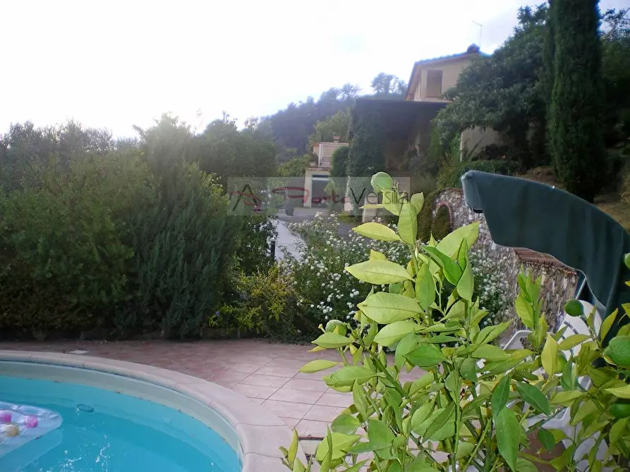 Immagine 51 di Rustico / casale in vendita  a Pietrasanta