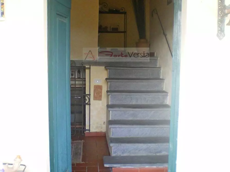 Immagine 52 di Rustico / casale in vendita  a Pietrasanta