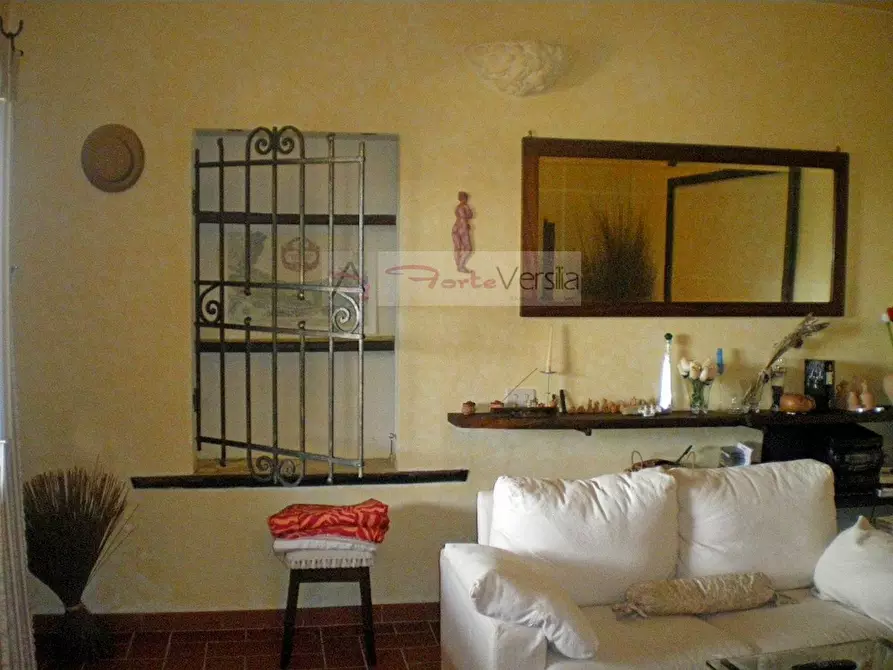 Immagine 58 di Rustico / casale in vendita  a Pietrasanta