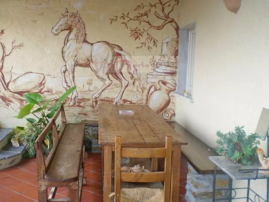 Immagine 64 di Rustico / casale in vendita  a Pietrasanta