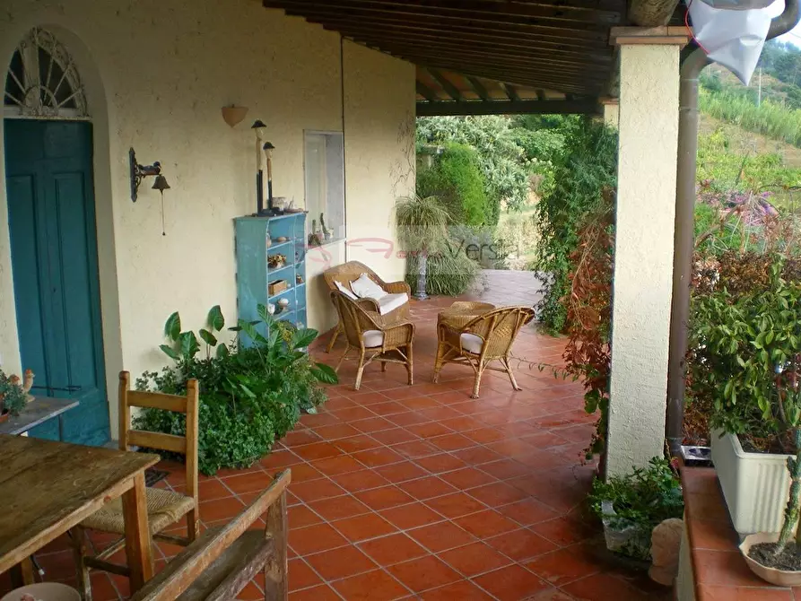 Immagine 66 di Rustico / casale in vendita  a Pietrasanta