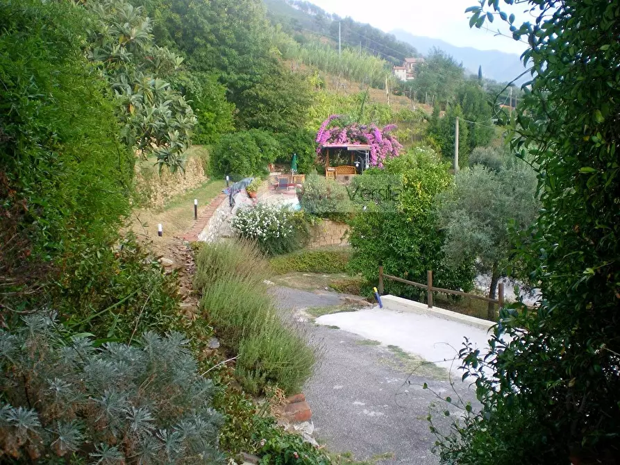 Immagine 67 di Rustico / casale in vendita  a Pietrasanta