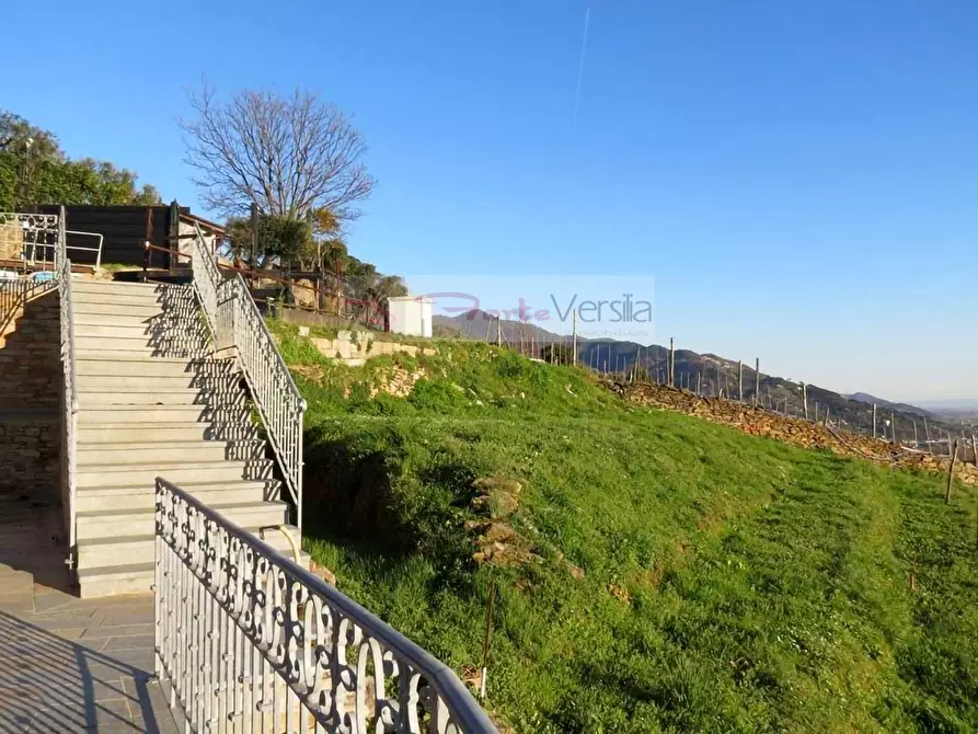 Immagine 8 di Rustico / casale in vendita  a Pietrasanta