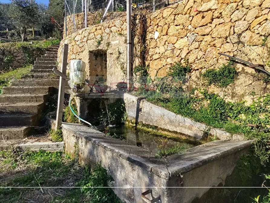 Immagine 3 di Rustico / casale in vendita  a Pietrasanta