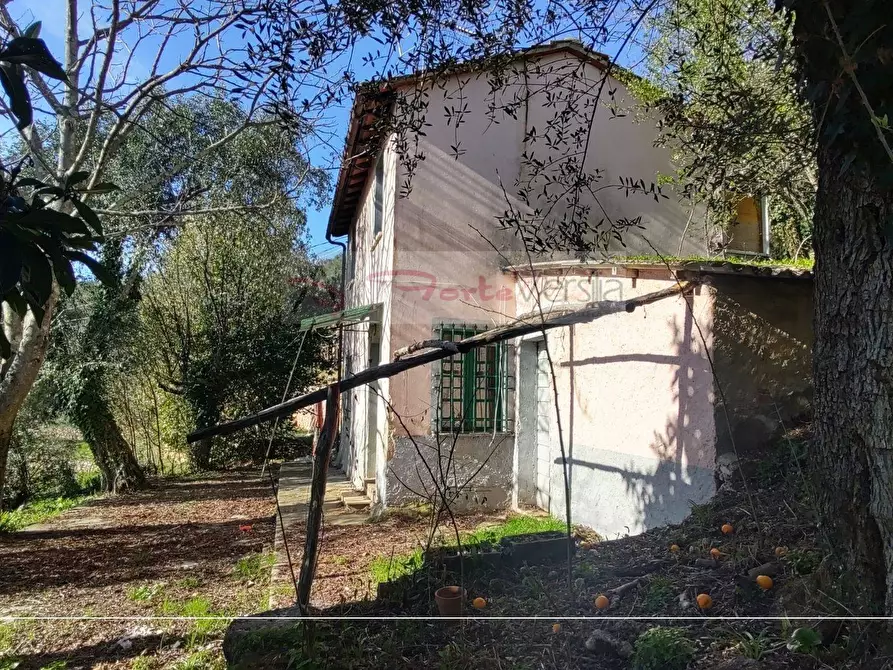 Immagine 5 di Rustico / casale in vendita  a Pietrasanta