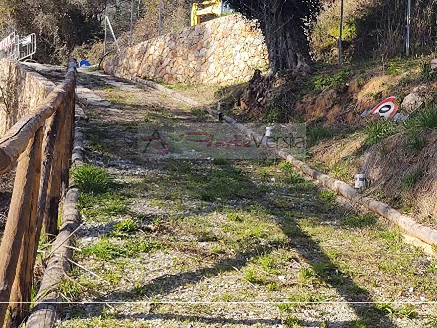 Immagine 7 di Rustico / casale in vendita  a Pietrasanta