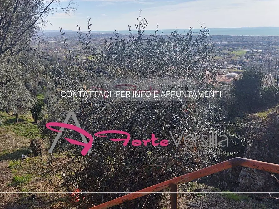 Immagine 8 di Rustico / casale in vendita  a Pietrasanta