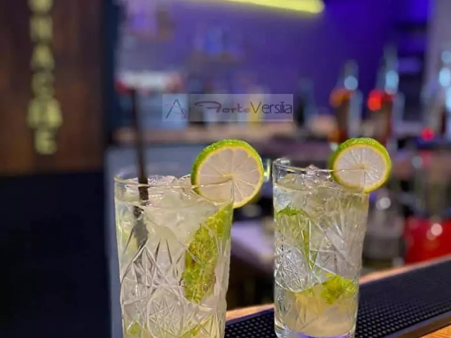 Immagine 14 di Albergo/B&B/Residence in vendita  a Camaiore