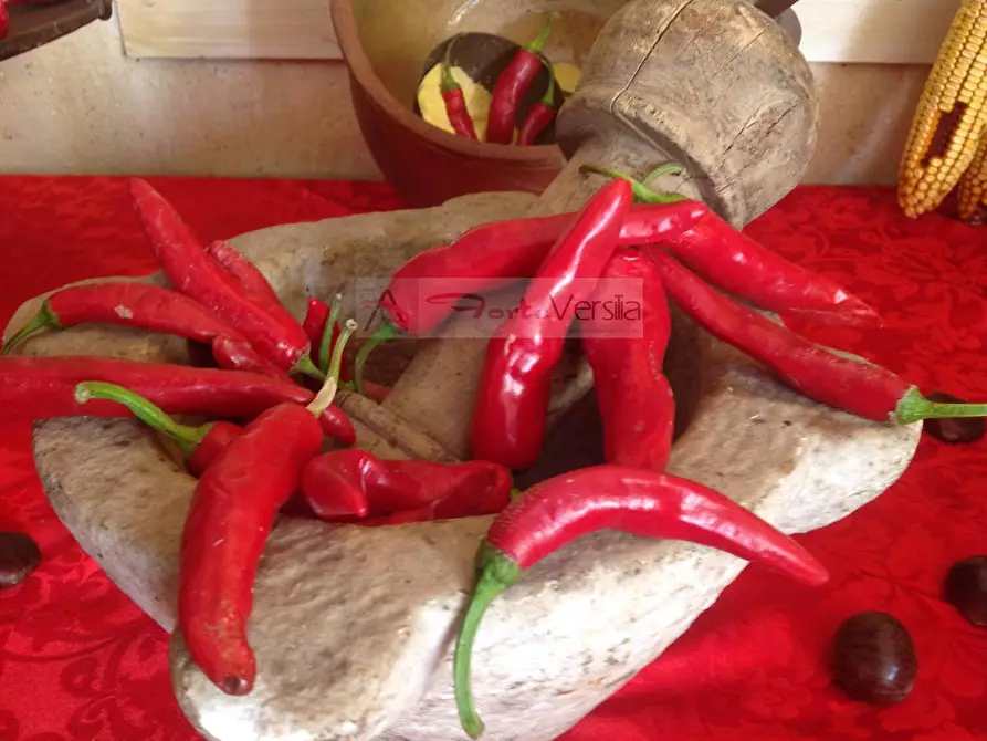 Immagine 17 di Albergo/B&B/Residence in vendita  a Camaiore