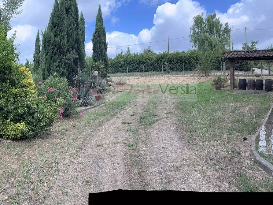 Immagine 9 di Terreno agricolo in vendita  a Vinci