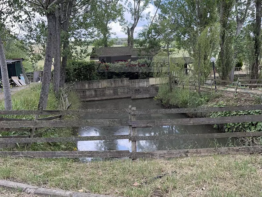Immagine 11 di Terreno agricolo in vendita  a Vinci