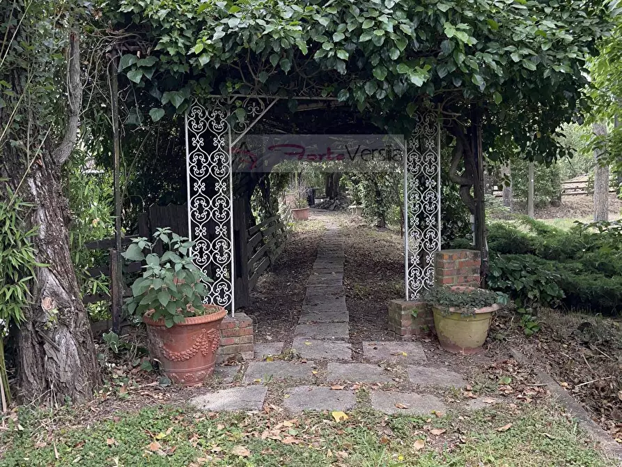 Immagine 5 di Terreno agricolo in vendita  a Vinci
