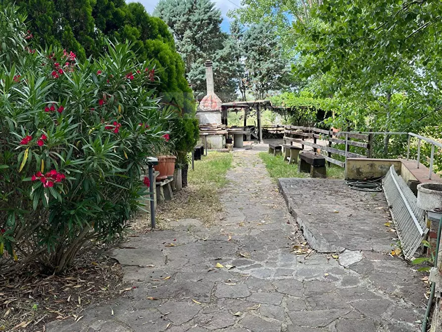 Immagine 7 di Terreno agricolo in vendita  a Vinci