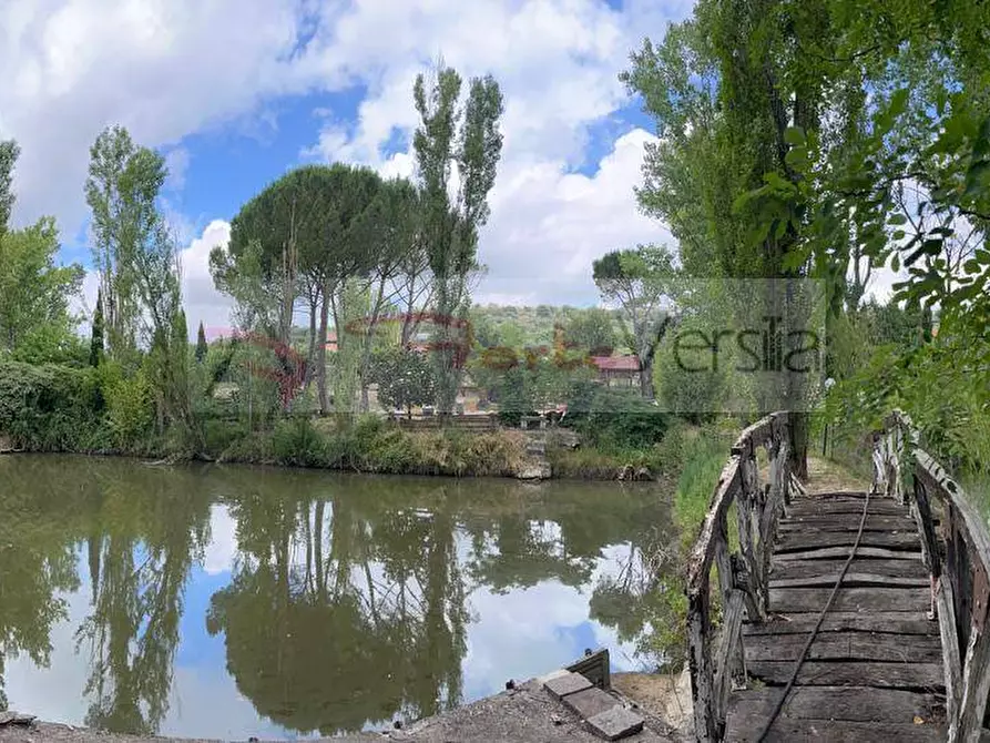 Immagine 12 di Terreno agricolo in vendita  a Vinci