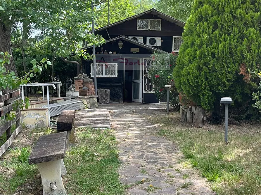Immagine 3 di Terreno agricolo in vendita  a Vinci