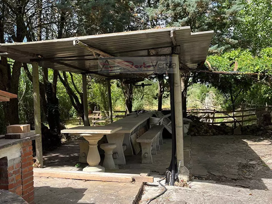 Immagine 13 di Terreno agricolo in vendita  a Vinci